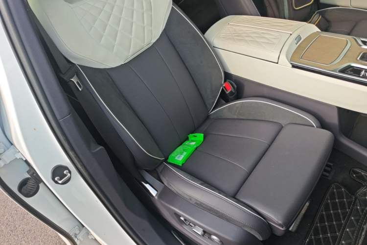Used Hongqi E-HS9 2022 690 km Range Flagship Edition Six Seats Right Front Seat
