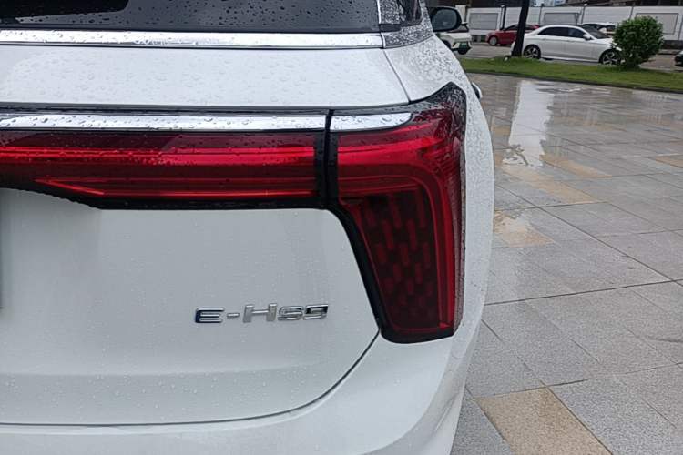 Used Hongqi E-HS9 2022 660 km Range Flagway Edition Six Seats Right Rear Taillight