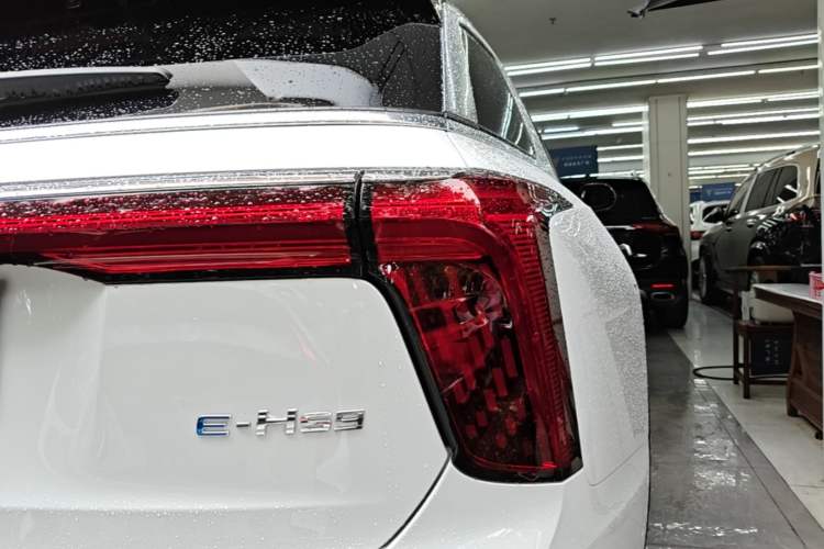 Used Hongqi E-HS9 2022 660 km Range Flagway Edition Six Seats Right Rear Taillight