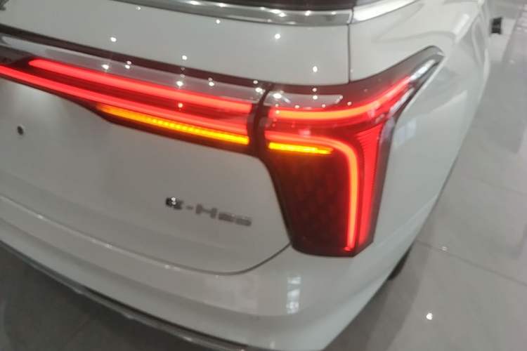 Used Hongqi E-HS9 2022 660 km Range Flagway Edition Six Seats Right Rear Taillight