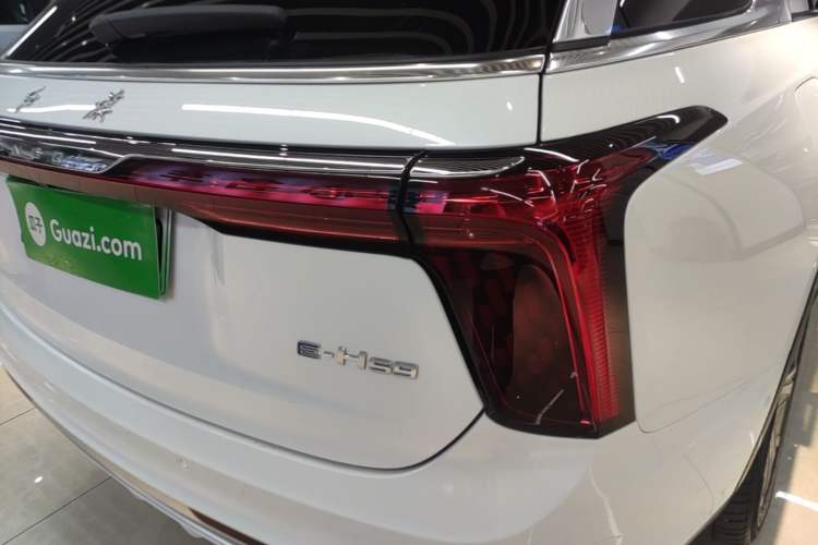 Used Hongqi E-HS9 2022 690 km Range Flagship Edition Six Seats Right Rear Taillight