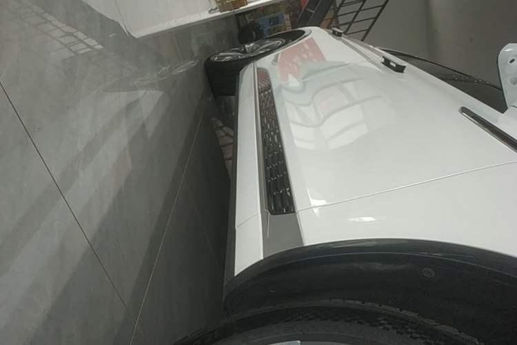 Used Hongqi E-HS9 2022 660 km Range Flagway Edition Six Seats Right Side Sill
