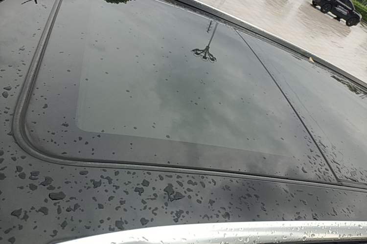 Used Hongqi E-HS9 2022 660 km Range Flagway Edition Six Seats Roof