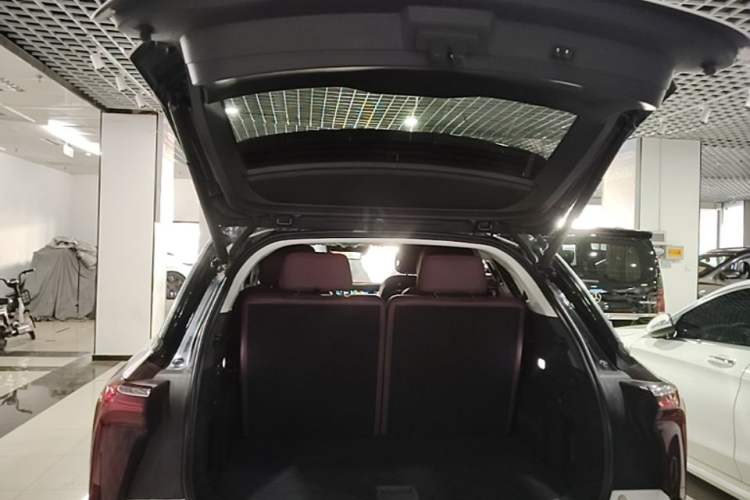 Used Hongqi E-HS9 2022 660 km Range Flagway Edition Six Seats Trunk