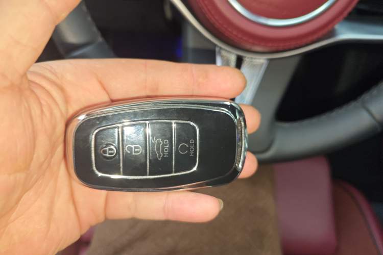 Used Hongqi E-HS9 2022 690 km Range Flagship Edition Six Seats Vehicle Key