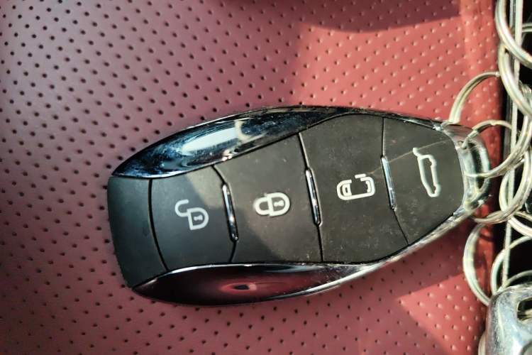 Used Hongqi E-HS9 2022 660 km Range Flagway Edition Six Seats Vehicle Key