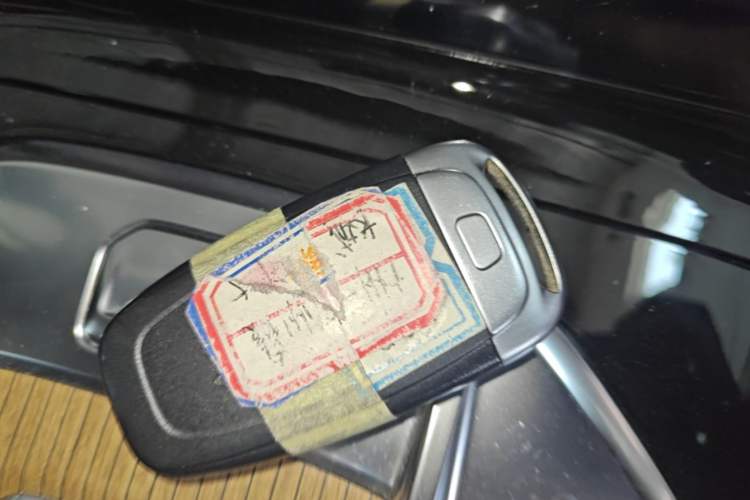 Used Hongqi E-HS9 2022 660 km Range Flagway Edition Six Seats Vehicle Key