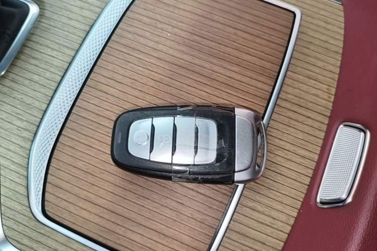 Used Hongqi E-HS9 2022 660 km Range Flagway Edition Six Seats Vehicle Key