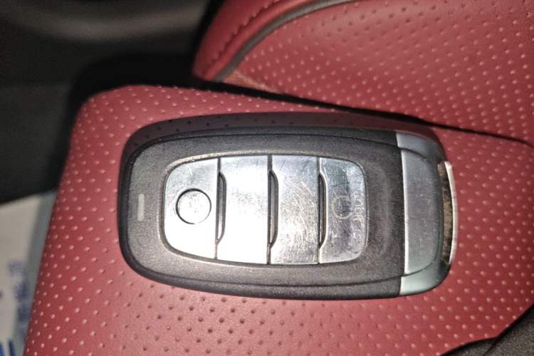 Used Hongqi E-HS9 2022 660 km Range Flagway Edition Six Seats Vehicle Key