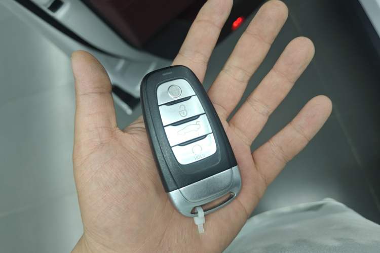 Used Hongqi E-HS9 2022 660 km Range Flagway Edition Six Seats Vehicle Key