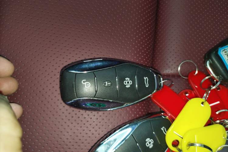 Used Hongqi E-HS9 2022 660 km Range Flagway Edition Six Seats Vehicle Key
