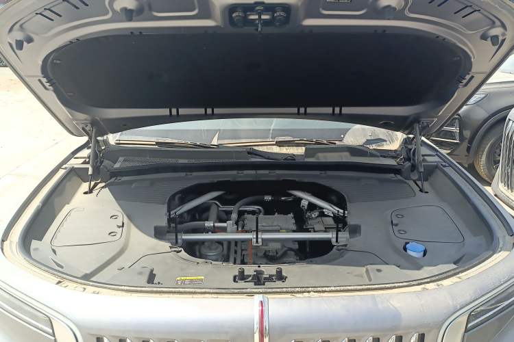 Used Hongqi E-HS9 2024 660 km Range Flagway Edition Six Seats Engine Bay