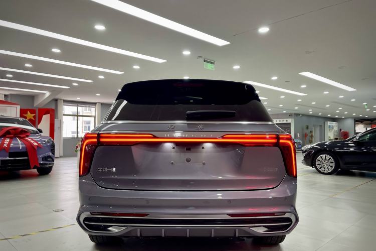 Used Hongqi E-HS9 2024 660 km Range Flagway Edition Six Seats Exterior 4