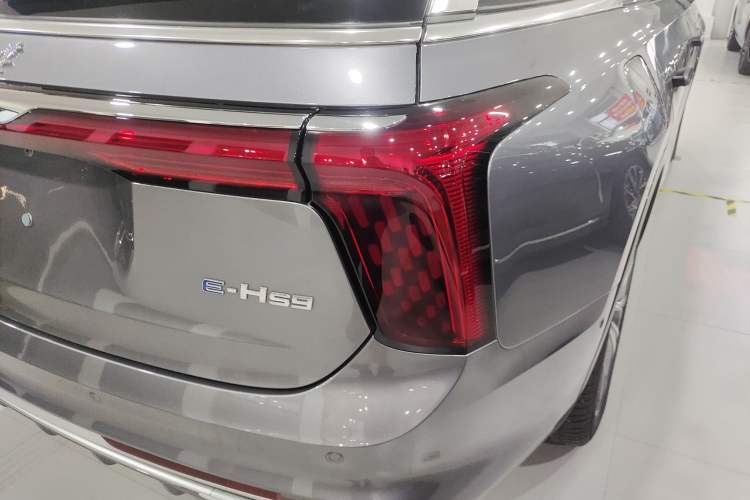 Used Hongqi E-HS9 2024 660 km Range Flagway Edition Six Seats Exterior 6