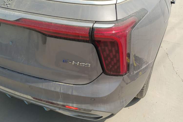 Used Hongqi E-HS9 2024 660 km Range Flagway Edition Six Seats Exterior 6
