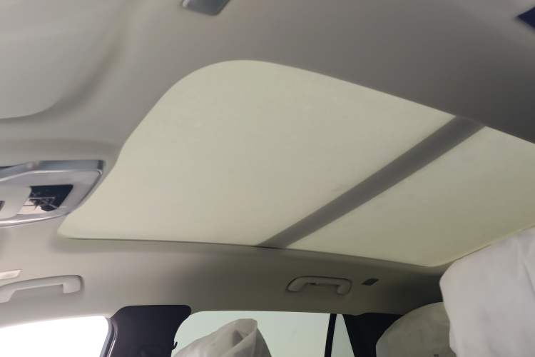 Used Hongqi E-HS9 2024 660 km Range Flagway Edition Six Seats Headliner