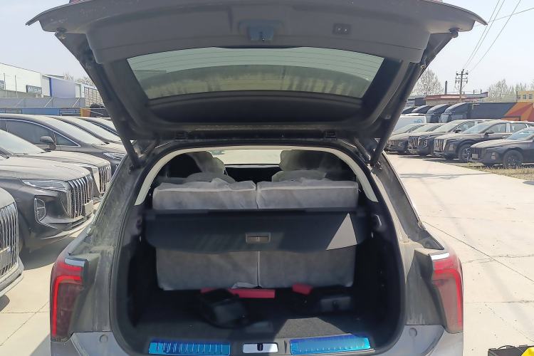 Used Hongqi E-HS9 2024 660 km Range Flagway Edition Six Seats Trunk