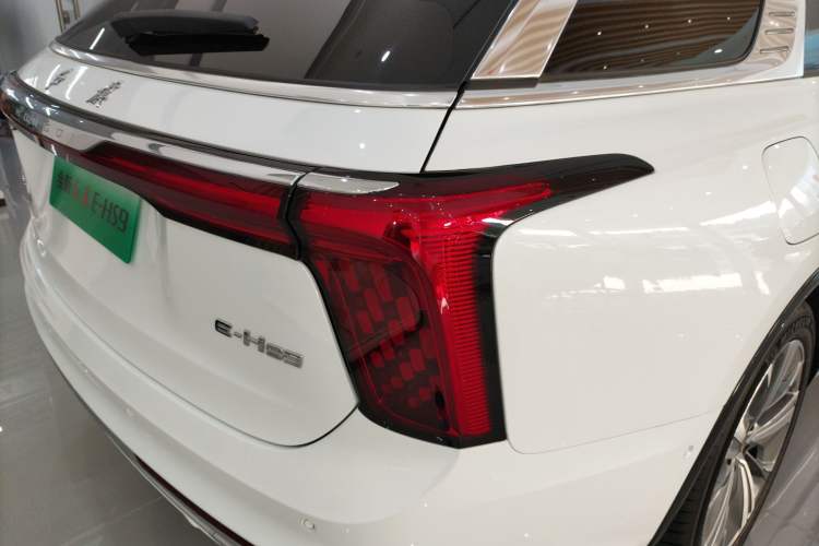 Used Hongqi E-HS9 2024 660 km Range Flagway Edition Six Seats Exterior 6