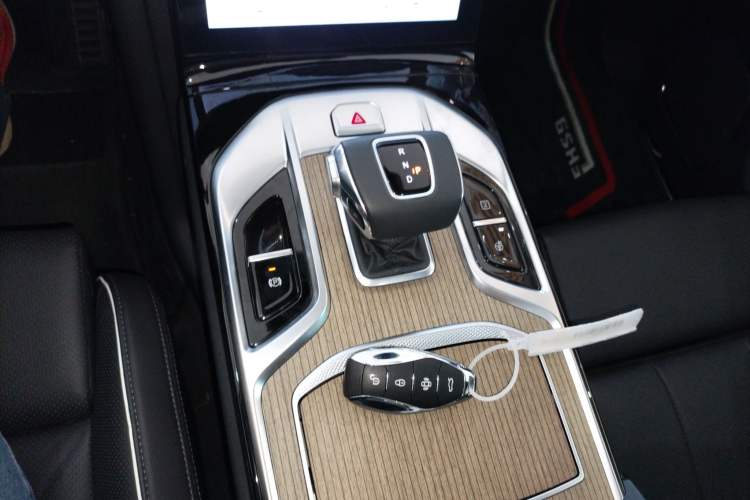 Used Hongqi E-HS9 2024 660 km Range Flagway Edition Six Seats Gear Lever