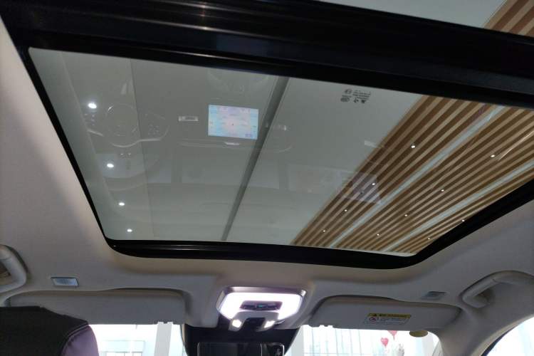 Used Hongqi E-HS9 2024 660 km Range Flagway Edition Six Seats Headliner