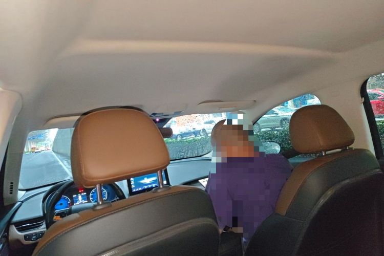 Used Hongqi E-QM5 2021 Charging Didi Edition Headliner
