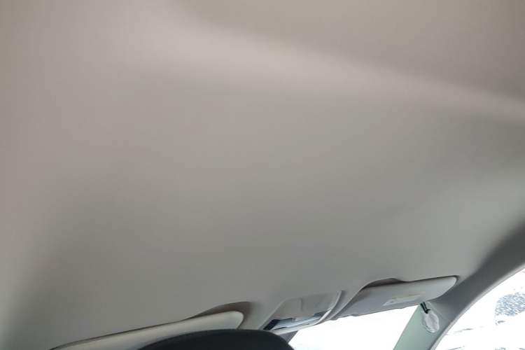 Used Hongqi E-QM5 2021 Charging Version Flagship Edition Headliner