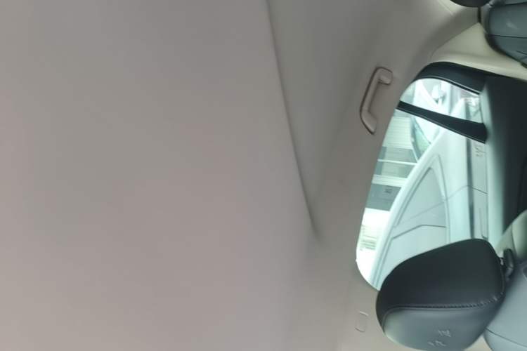 Used Hongqi E-QM5 2021 Charging Flagship Edition Headliner