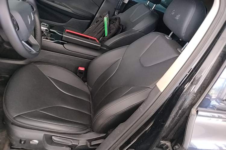 Used Hongqi E-QM5 2021 Charging Version Flagship Edition Left Front Seat