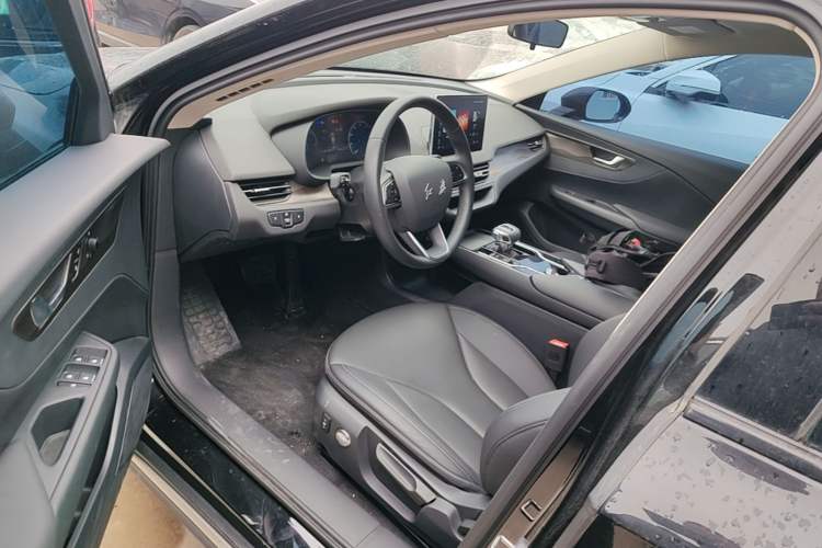 Used Hongqi E-QM5 2021 Charging Version Flagship Edition Left Front Seat