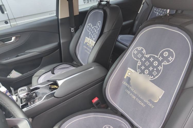 Used Hongqi E-QM5 2021 Online Booking Charging Basic Edition 5 Seats Left Front Seat