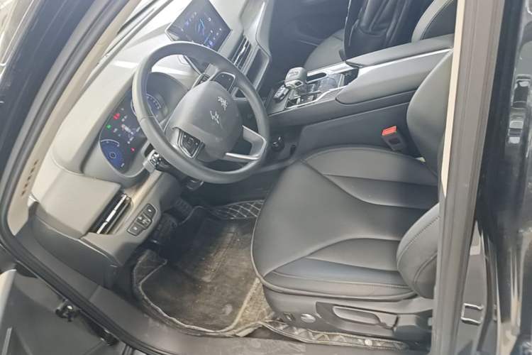 Used Hongqi E-QM5 2021 Charging Version Flagship Edition Left Front Seat