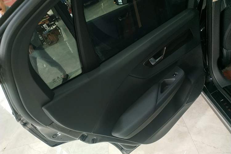 Used Hongqi E-QM5 2021 Charging Version Flagship Edition Left Rear Door Interior