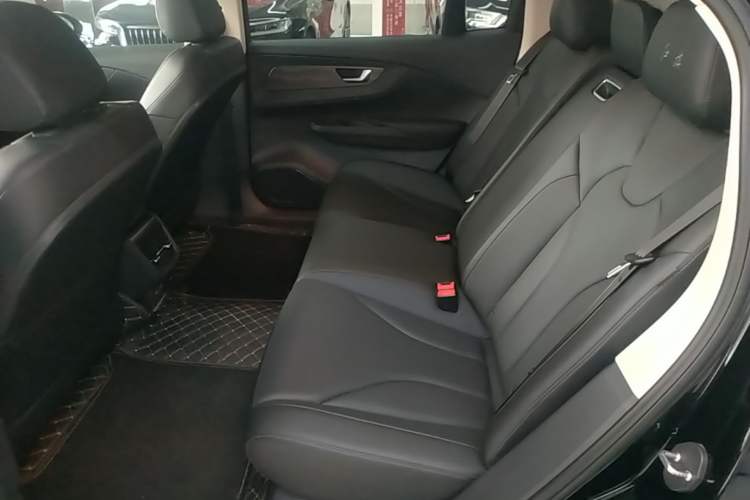 Used Hongqi E-QM5 2021 Online Booking Charging T3 Edition 5-Seater Left Rear Seat