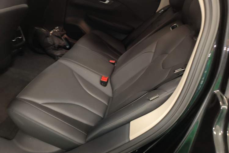 Used Hongqi E-QM5 2021 Online Booking Charging Basic Edition 5 Seats Left Rear Seat