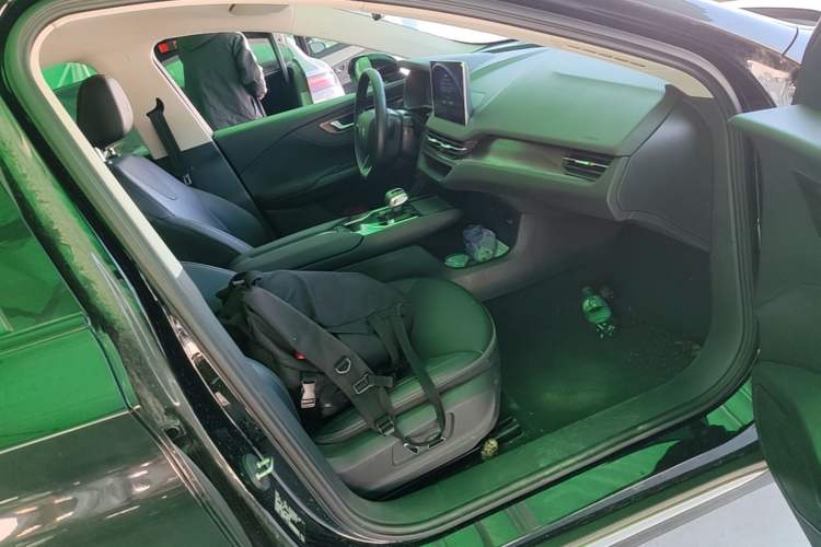 Used Hongqi E-QM5 2021 Charging Version Flagship Edition Right Front Seat