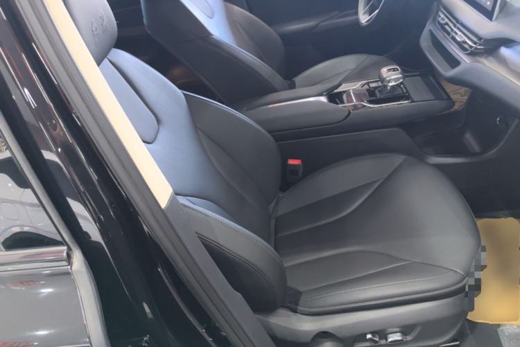 Used Hongqi E-QM5 2021 Charging Flagship Edition Right Front Seat