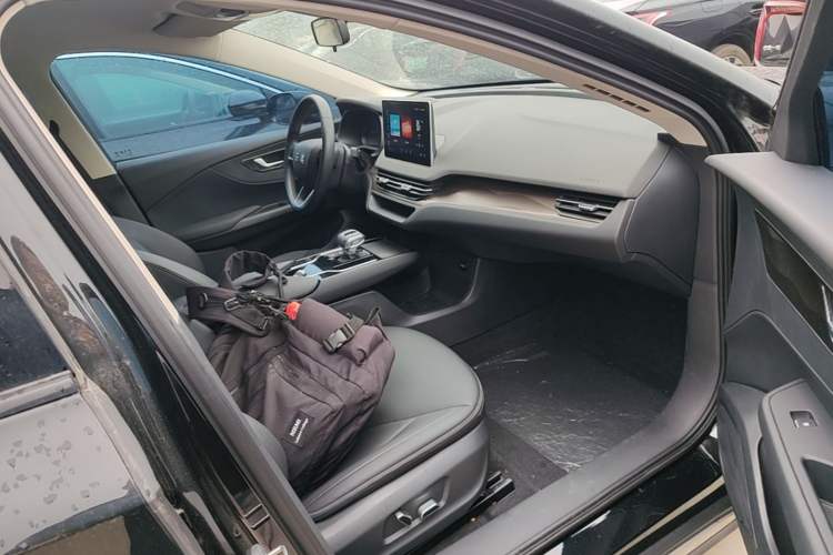 Used Hongqi E-QM5 2021 Charging Version Flagship Edition Right Front Seat