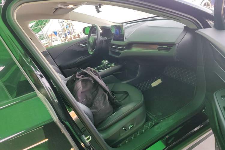 Used Hongqi E-QM5 2021 Charging Version Flagship Edition Right Front Seat