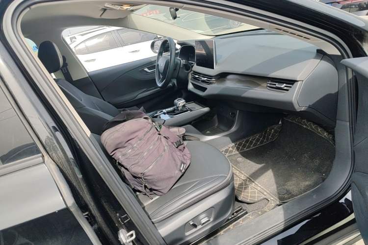 Used Hongqi E-QM5 2021 Charging Version Flagship Edition Right Front Seat