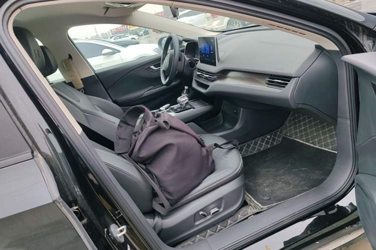 Used Hongqi E-QM5 2021 Charging Version Flagship Edition Right Front Seat