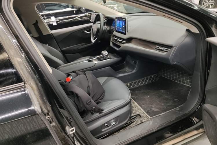 Used Hongqi E-QM5 2021 Charging Version Flagship Edition Right Front Seat
