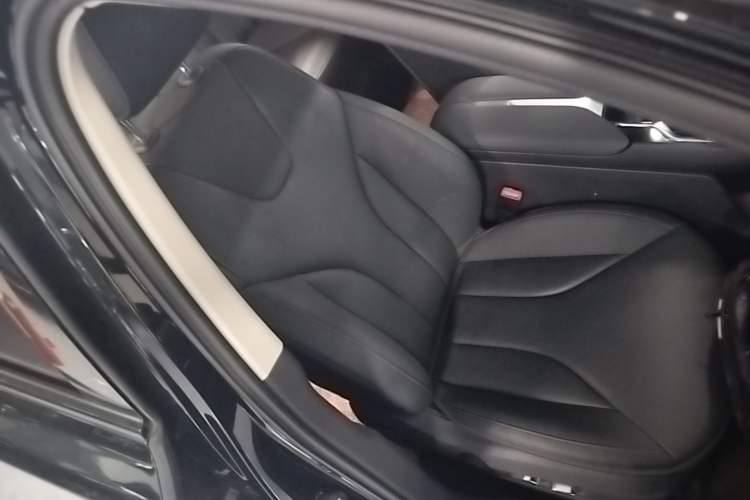 Used Hongqi E-QM5 2021 Charging Version Flagship Edition Right Front Seat