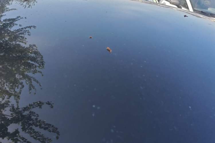 Used Hongqi E-QM5 2021 Charging Version Flagship Edition Roof