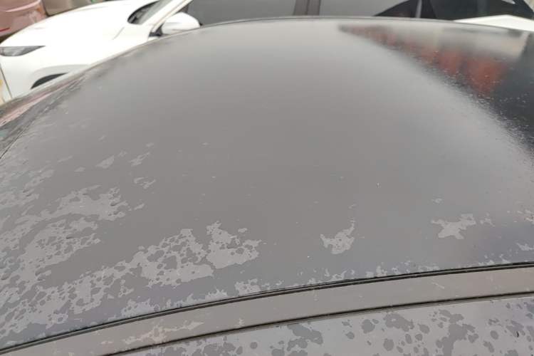 Used Hongqi E-QM5 2021 Charging Version Flagship Edition Roof