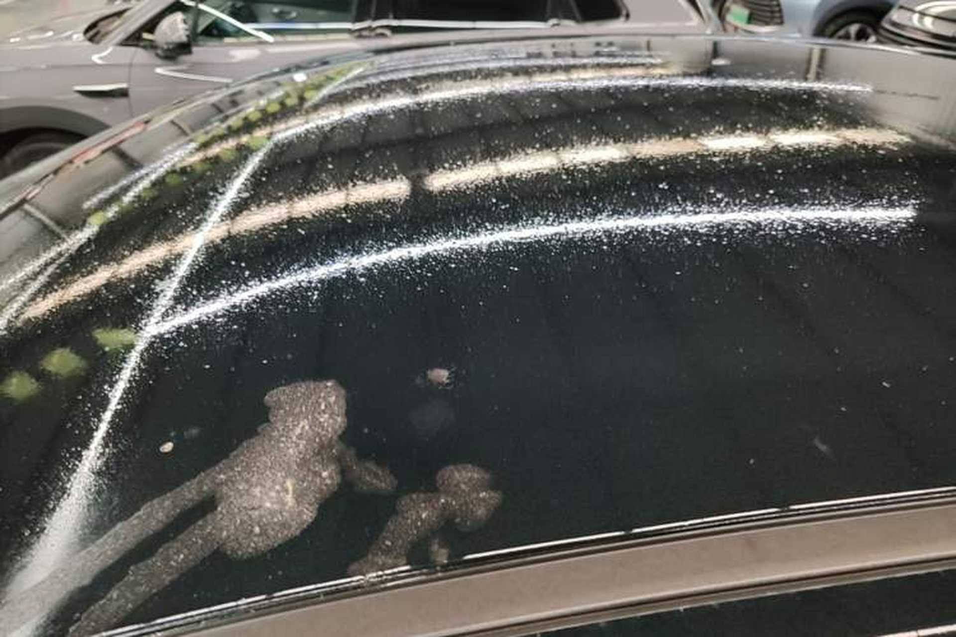Used Hongqi E-QM5 2021 Charging Version Flagship Edition Roof