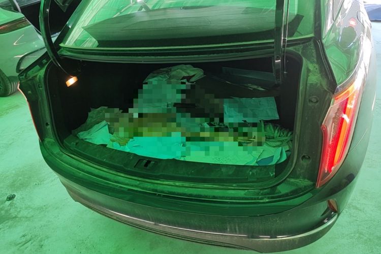 Used Hongqi E-QM5 2021 Charging Version Flagship Edition Trunk