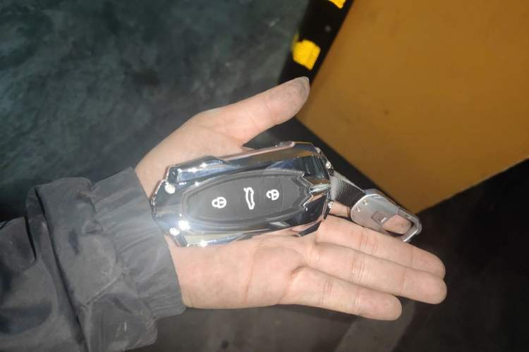 Used Hongqi E-QM5 2021 Charging Version Flagship Edition Vehicle Key
