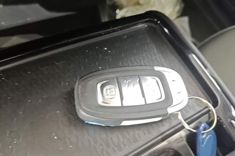 Used Hongqi E-QM5 2021 Charging Version Flagship Edition Vehicle Key