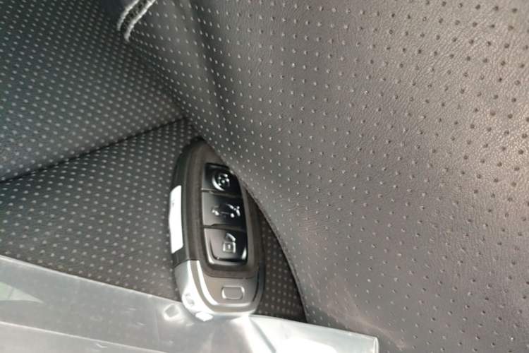 Used Hongqi E-QM5 2021 Charging Version Flagship Edition Vehicle Key