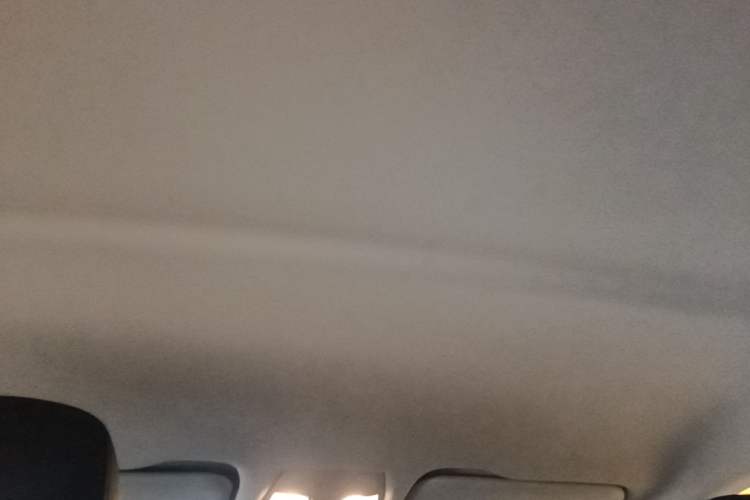 Used Hongqi E-QM5 2021 Online Booking Charging Basic Edition 4 Seats Headliner